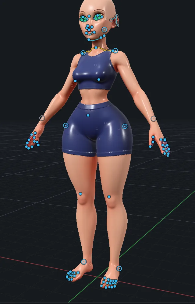 Anchors proposed on the raw mesh in Enfigure